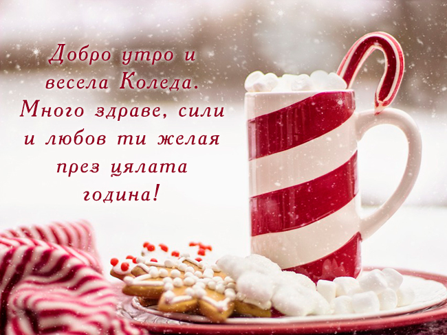 Добро утро и весела Коледа. Много здраве, сили и любов ти желая през цялата година!